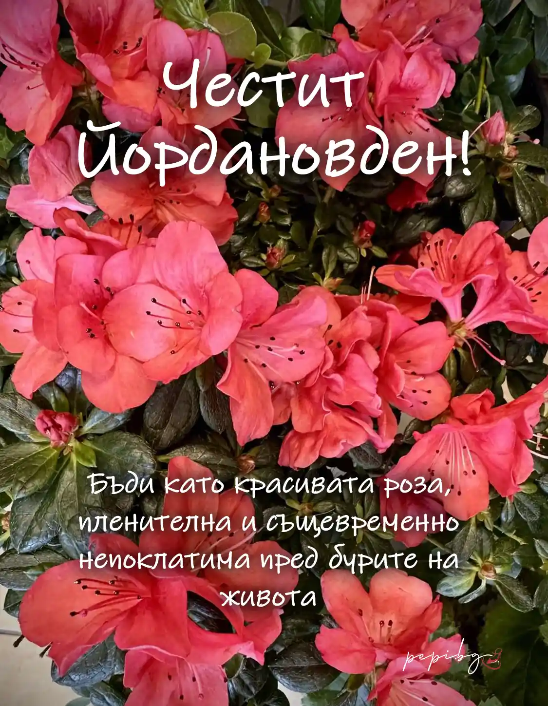 Картички за Йордановден за жена
